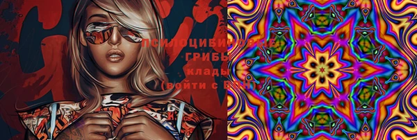 спиды Алексеевка