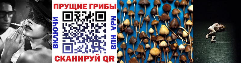 Галлюциногенные грибы GOLDEN TEACHER маркетплейс какой сайт Дегтярск